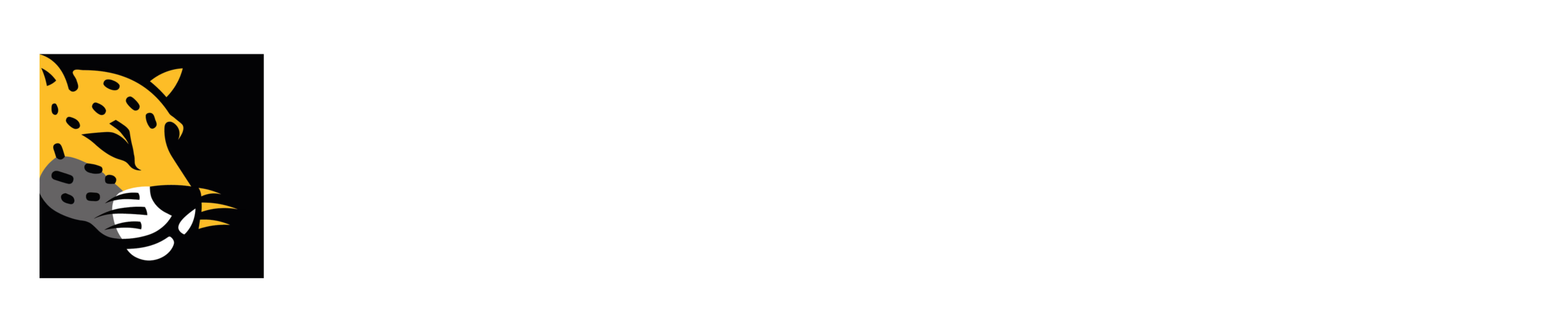 Logo Missão Icapuí
